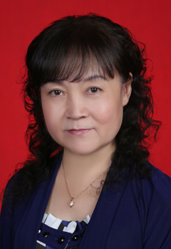 赵凌老师